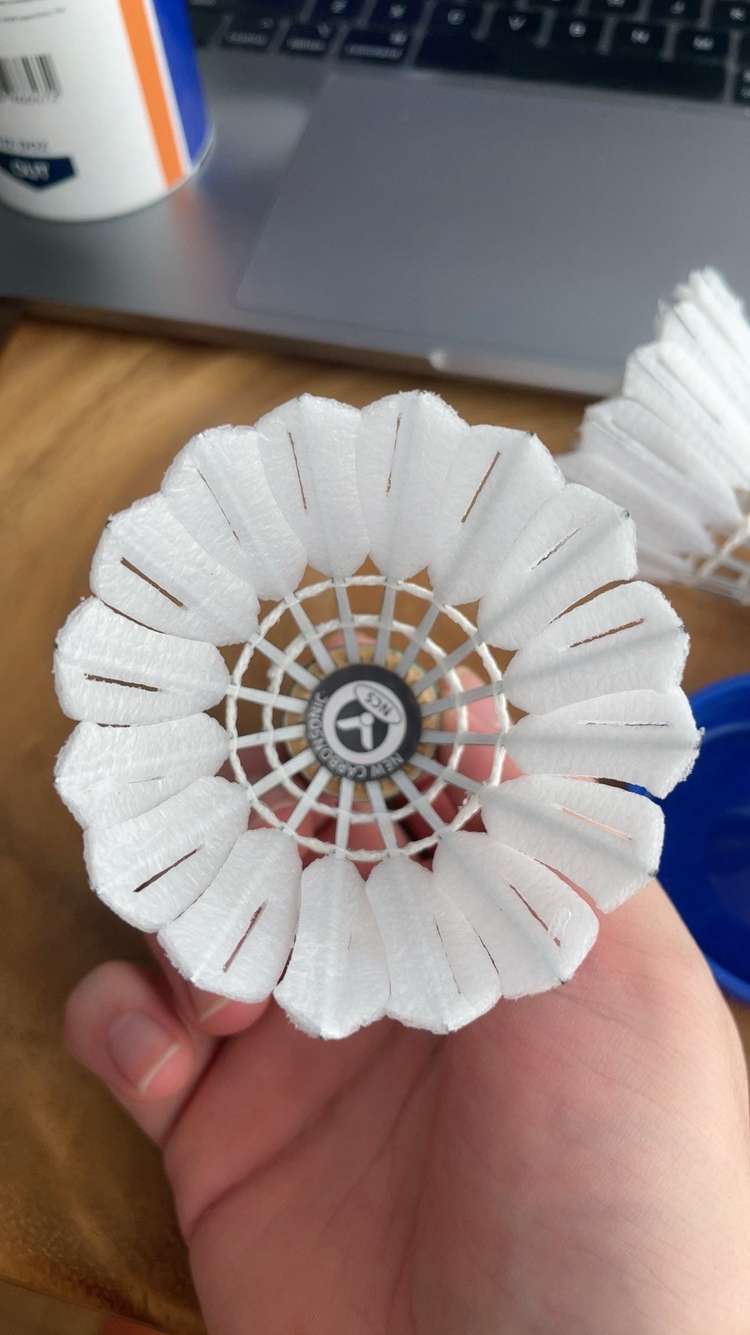 用科雷亞的 用科雷亞的