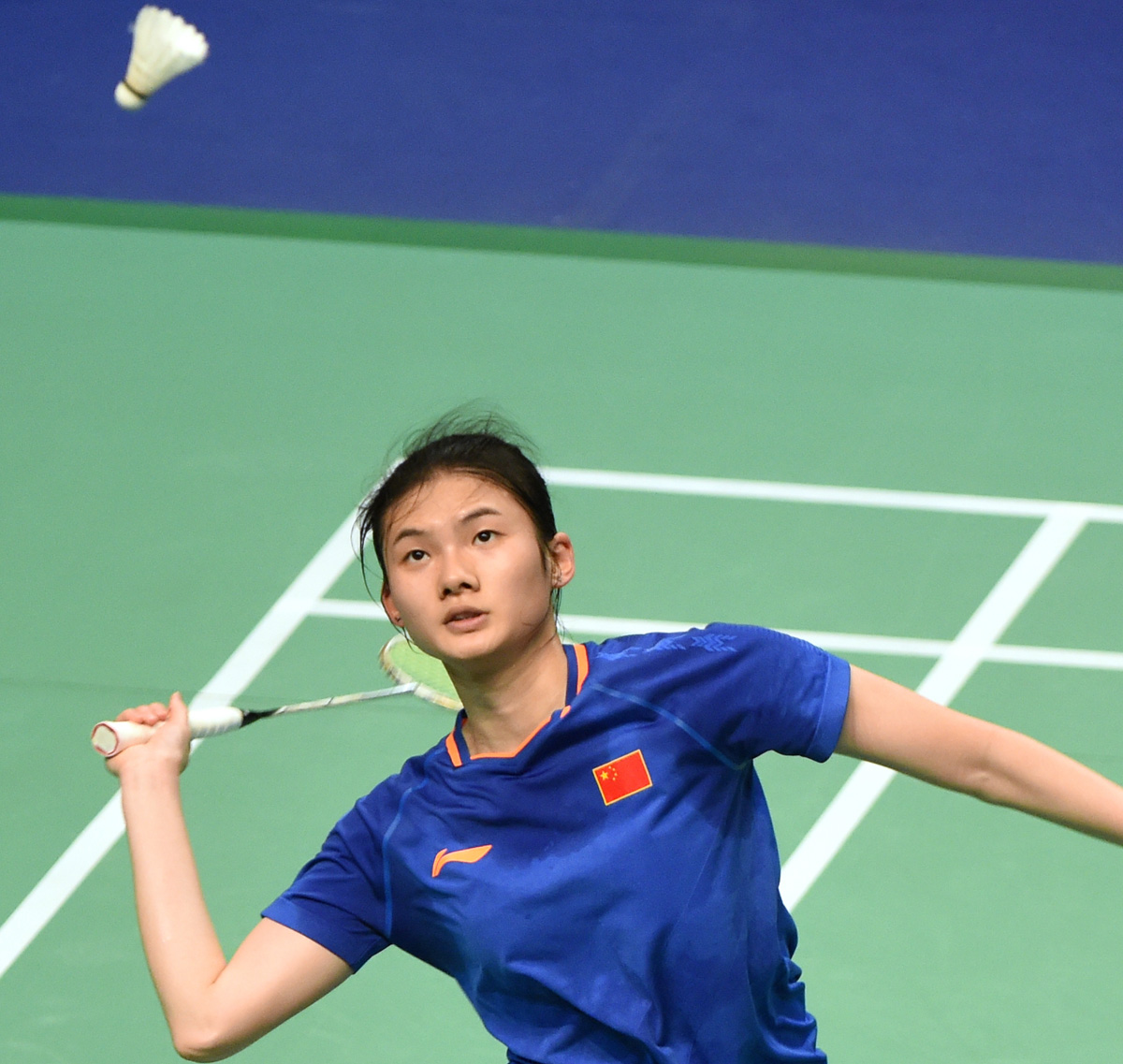 不可动摇的 不可动摇的