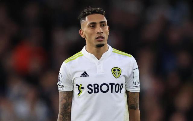 展中扮演了 展中扮演了