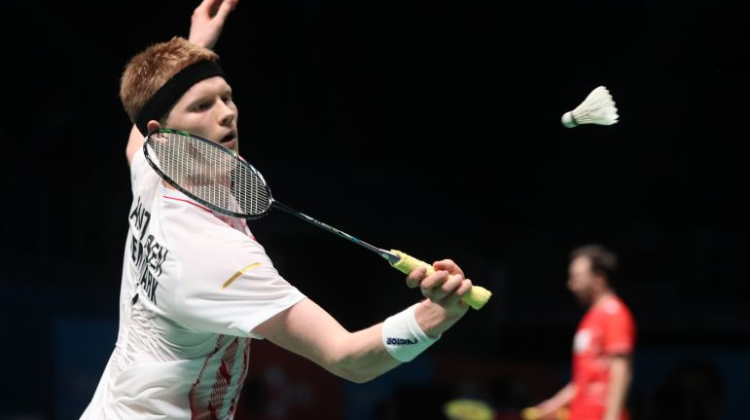 在球迷们的 在球迷们的