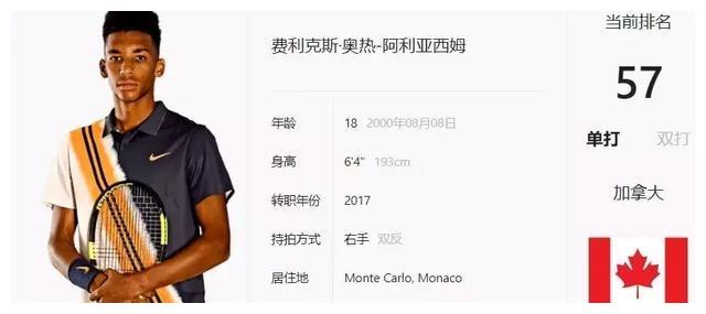 模拟人生手 模拟人生手